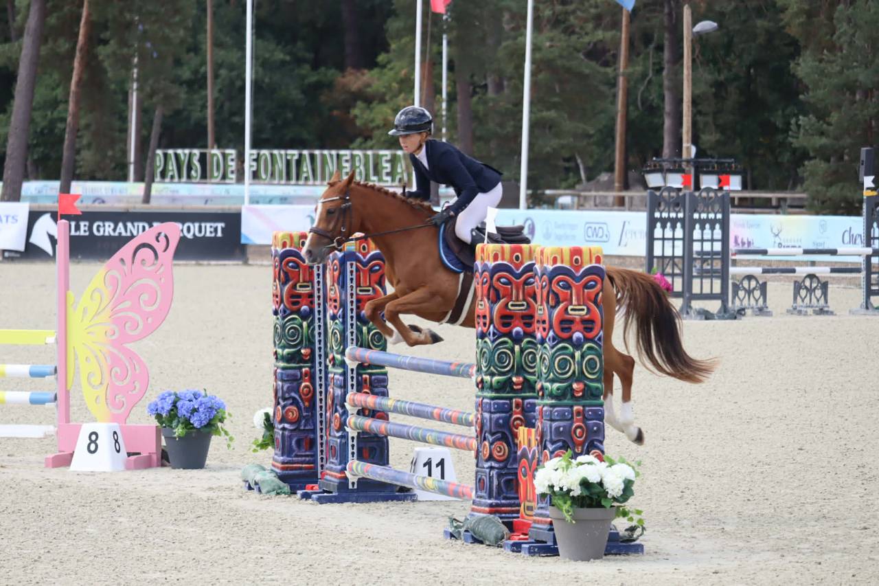 Yegua PFS Poni Fran&ccedil;&eacute;s de Silla En venta 2020 Alaz&aacute;n por Very star kerveyer