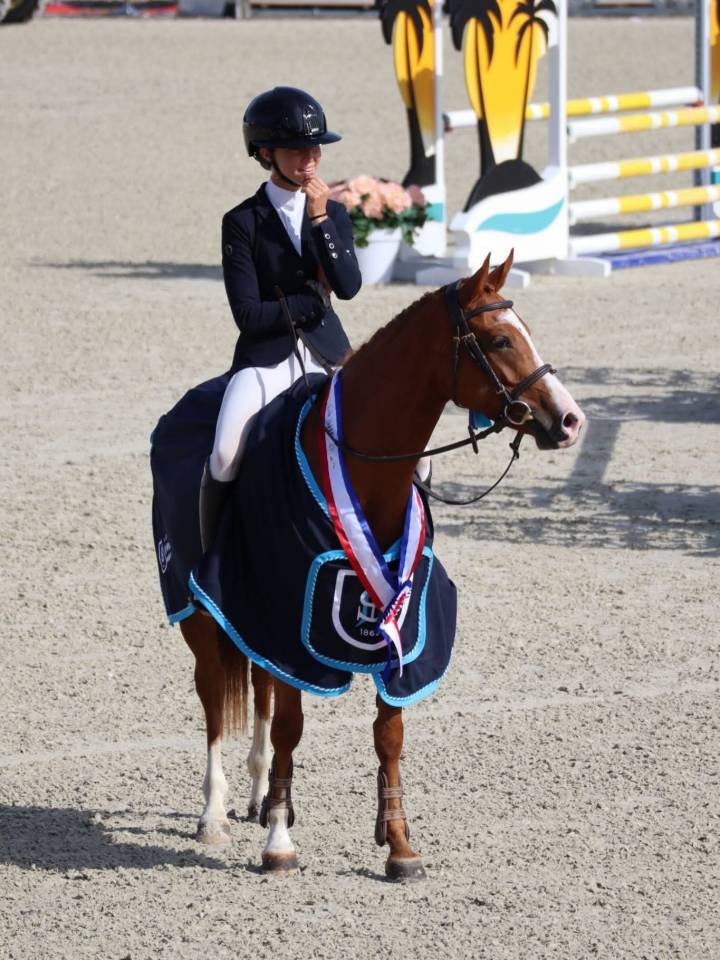 Yegua PFS Poni Fran&ccedil;&eacute;s de Silla En venta 2020 Alaz&aacute;n por Very star kerveyer