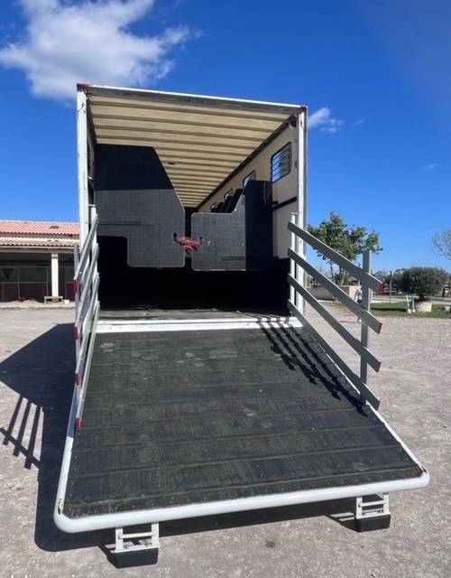 Cami&oacute;n para caballos Renault D 280 2018 De segunda mano