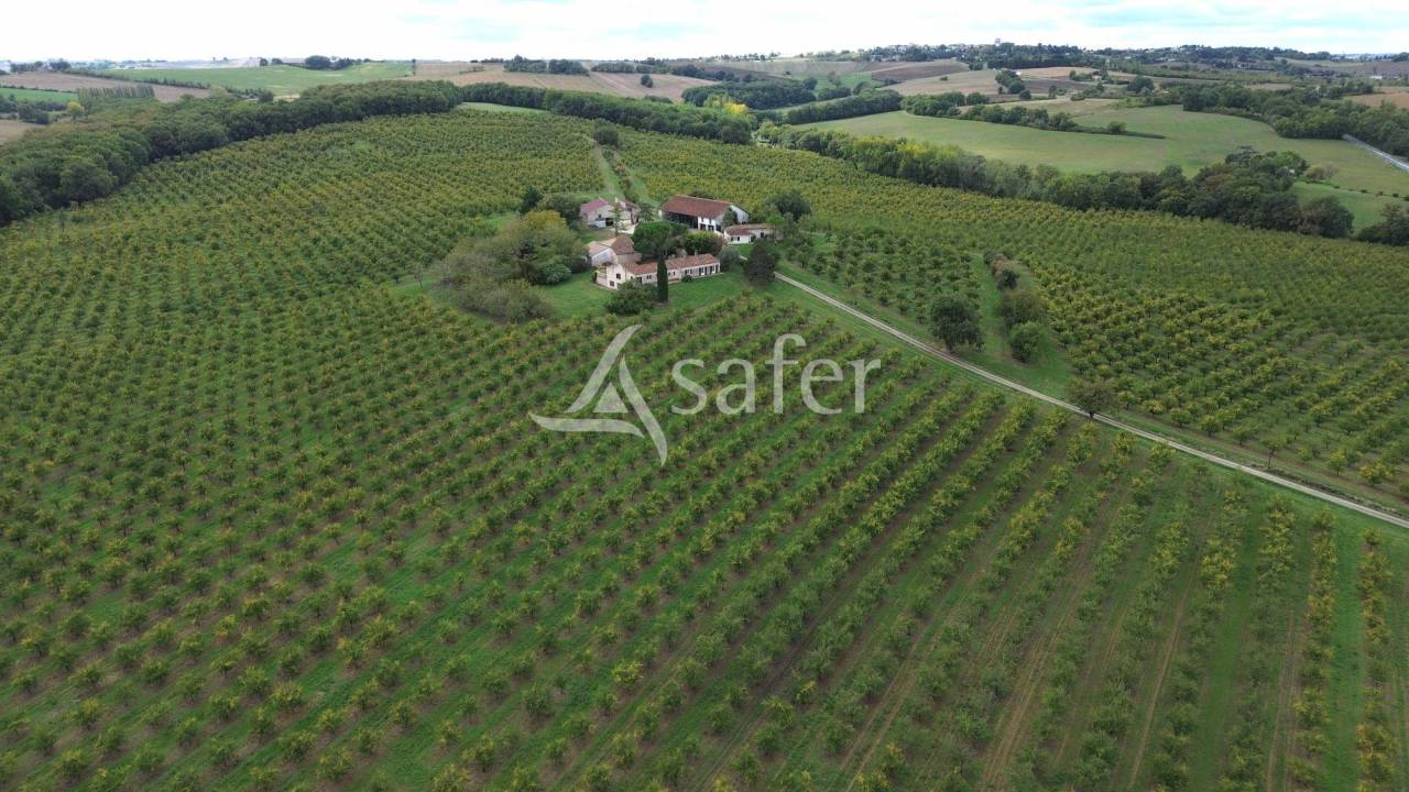 Explotaci&oacute;n agr&iacute;cola En venta Lot y Garona