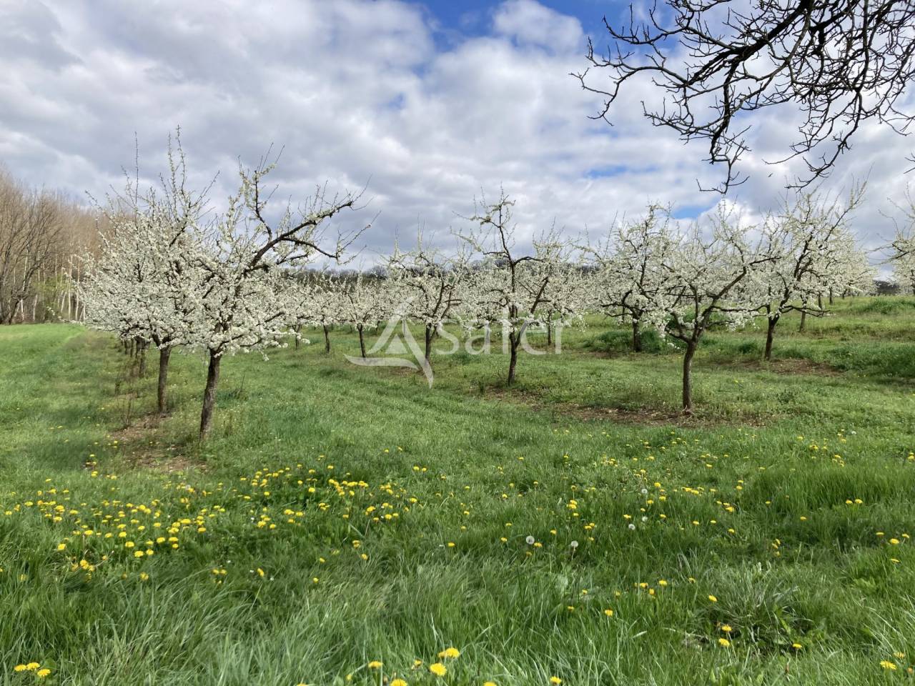 Explotaci&oacute;n agr&iacute;cola En venta Lot y Garona