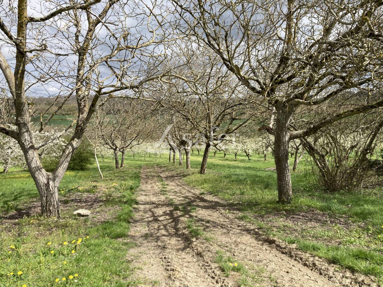 Explotaci&oacute;n agr&iacute;cola En venta Lot y Garona