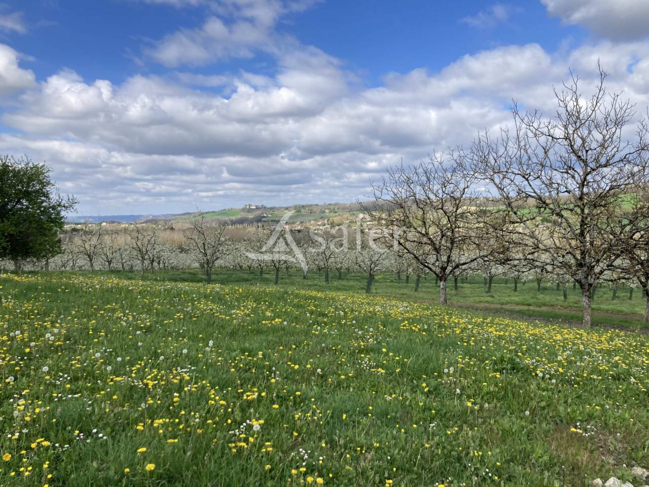 Explotaci&oacute;n agr&iacute;cola En venta Lot y Garona