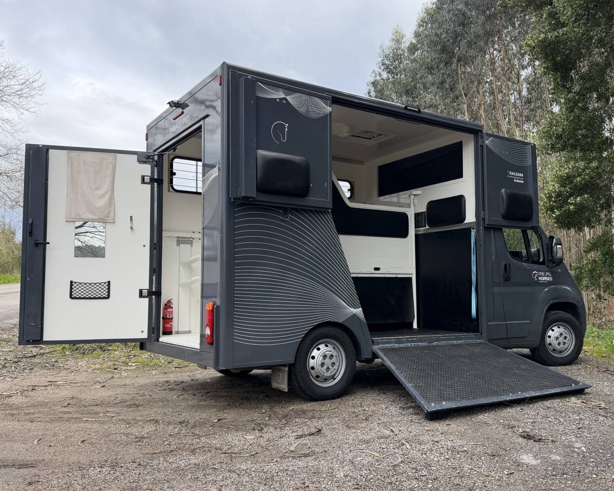  CITRO&Euml;N JUMPER &ndash; TRANSPORTE DE CABALLOS 