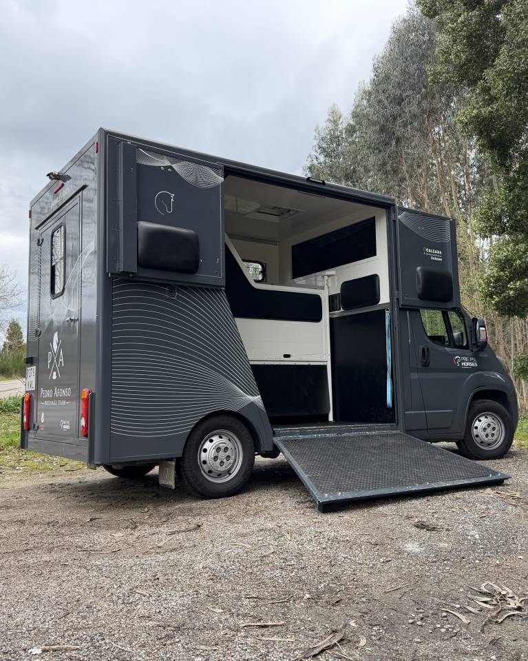  CITRO&Euml;N JUMPER &ndash; TRANSPORTE DE CABALLOS 