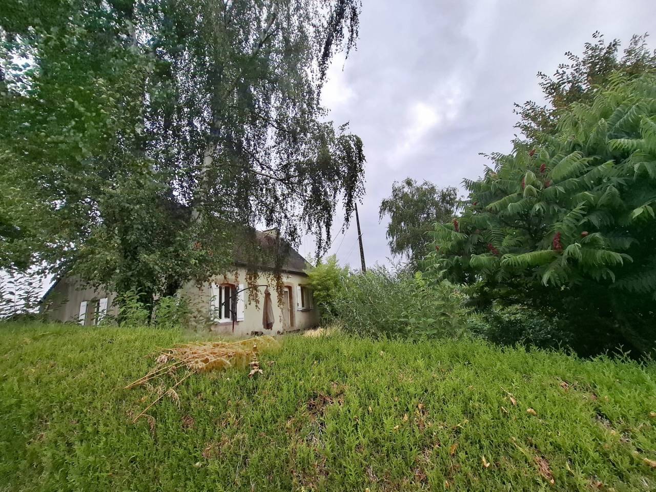 Cuadra de propietarios En venta Sarthe
