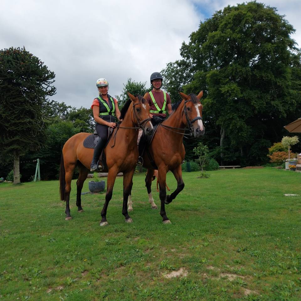 Yegua Silla Franc&eacute;s En venta 2019 Bayo por URANO DE CARTIGNY