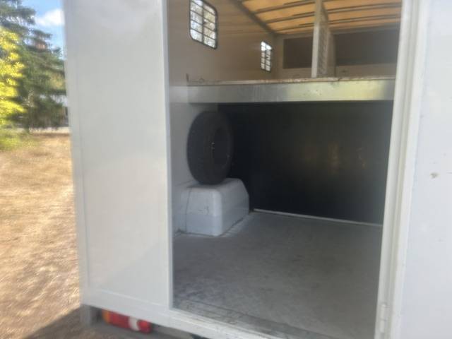 Furgoneta para caballos Renault master 2020 De segunda mano