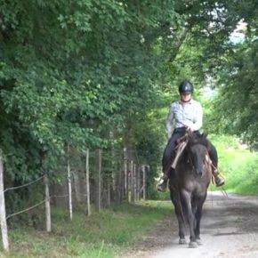 Yegua Quarter Horse En venta 2020 Grullo por JAZ GC DE PLATA