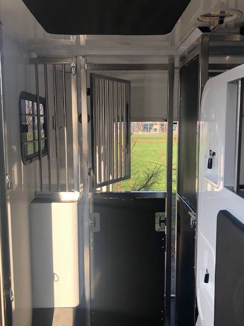Furgoneta para caballos Trans Box Svelto 10 2026 Nuevo