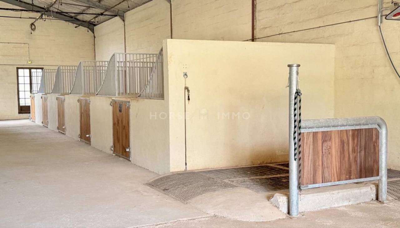 Propiedad ecuestre En venta Bocas del R&oacute;dano