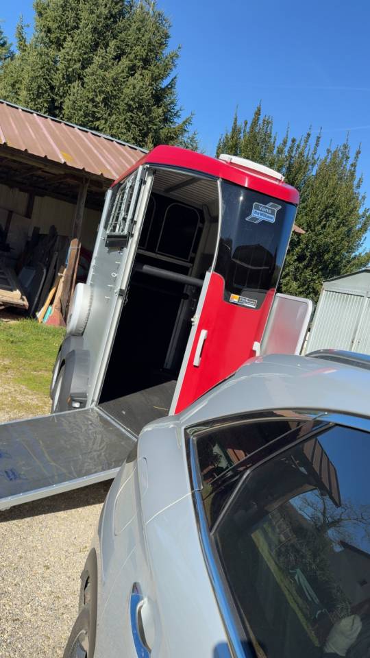 Van caballos Ifor Williams HBX 403 1,5 Caballos 2024 De segunda mano