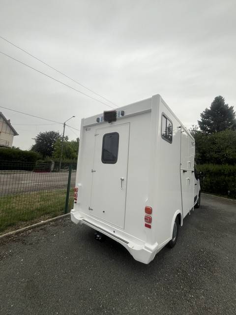 Furgoneta para caballos AP Petit Master 2023 2023 De segunda mano