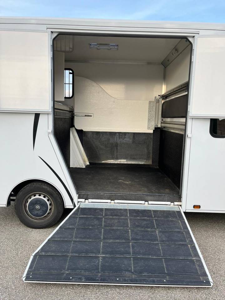 Furgoneta para caballos Opel Movano - Cavalcar 2020 De segunda mano