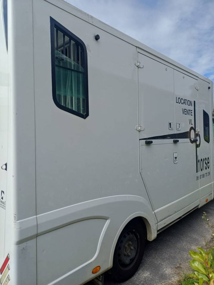 Furgoneta para caballos Theault pro theault 2020 De segunda mano