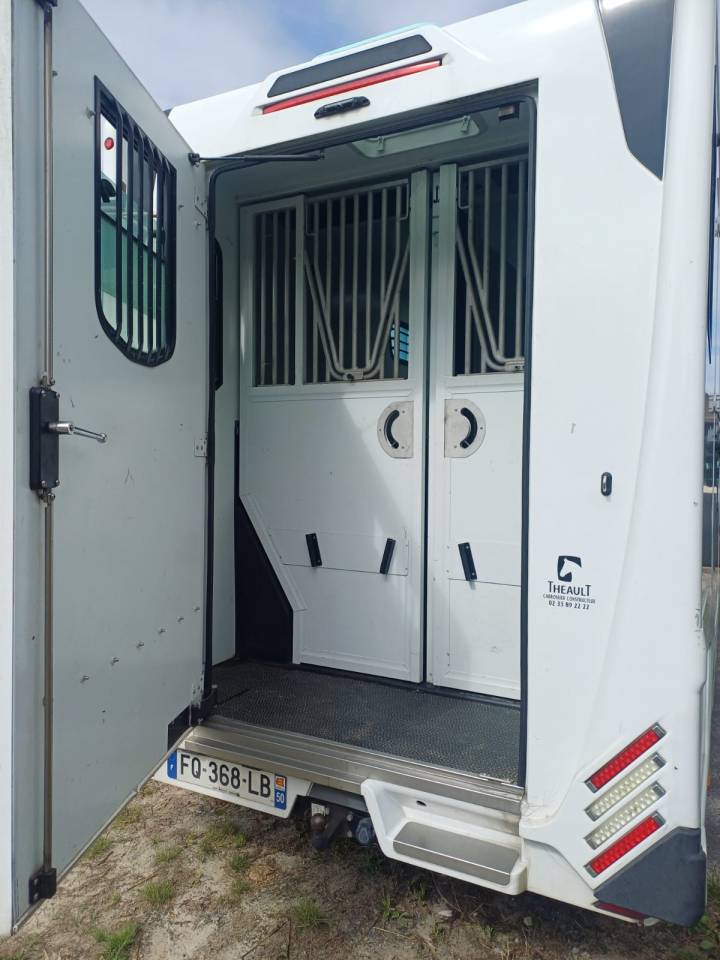 Furgoneta para caballos Theault pro theault 2020 De segunda mano
