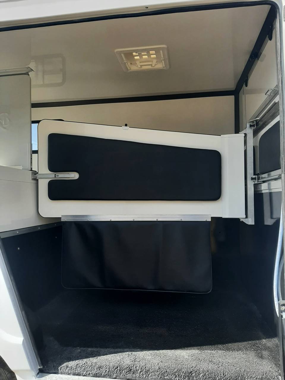 Furgoneta para caballos Renault Master 2020 De segunda mano