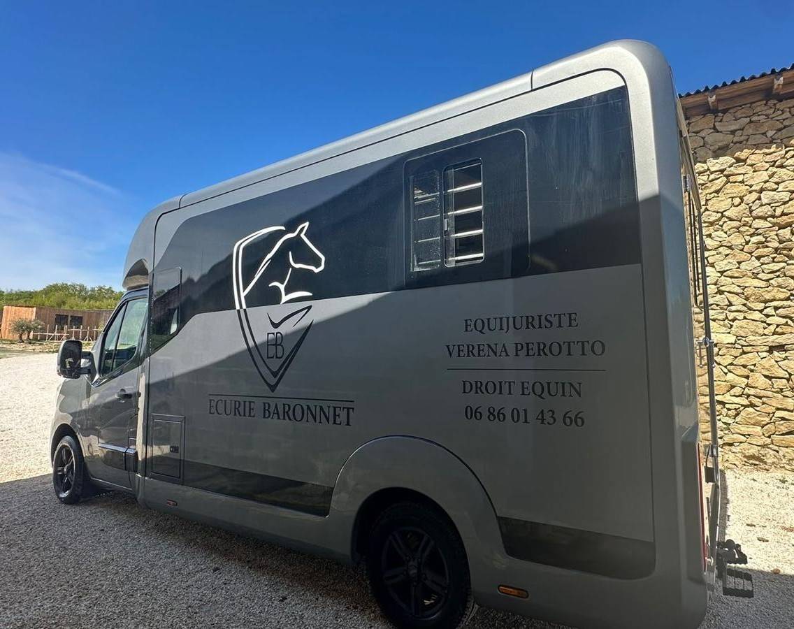 Furgoneta para caballos Renault STX 2023 De segunda mano