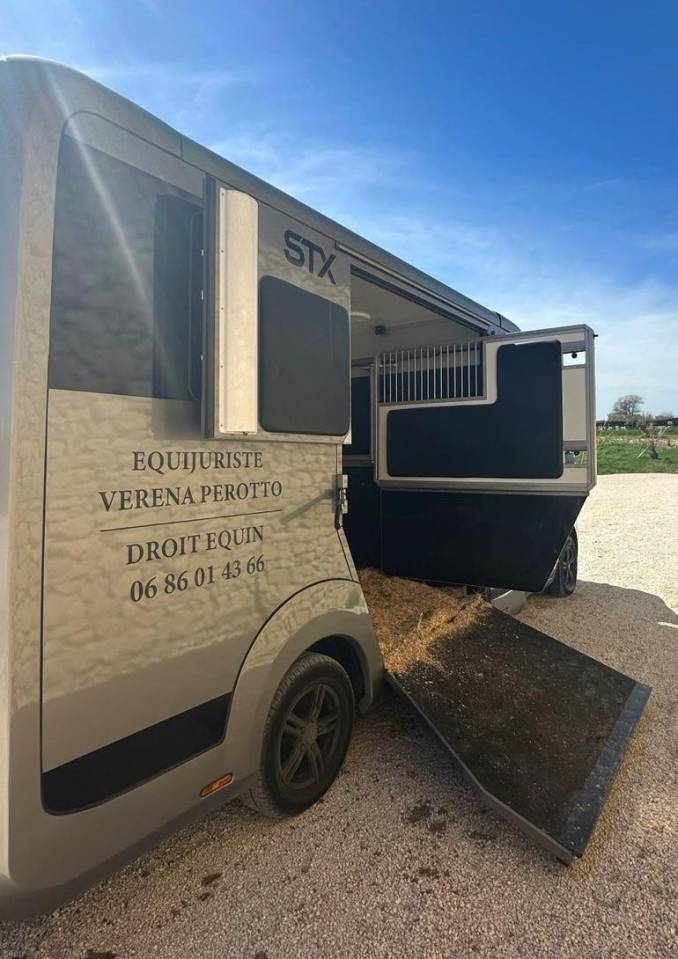 Furgoneta para caballos Renault STX 2023 De segunda mano