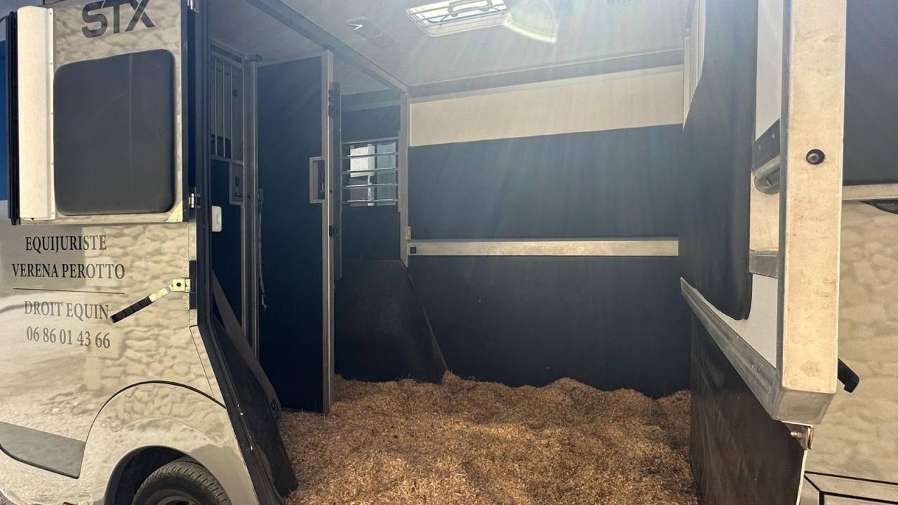 Furgoneta para caballos Renault STX 2023 De segunda mano