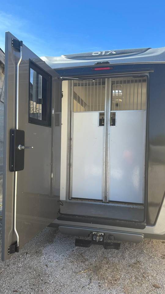 Furgoneta para caballos Renault STX 2023 De segunda mano
