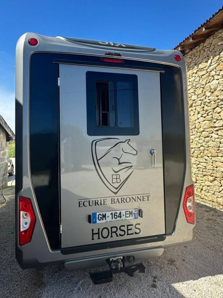 Furgoneta para caballos Renault STX 2023 De segunda mano