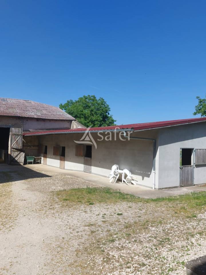 Propiedad ecuestre En venta Mosa