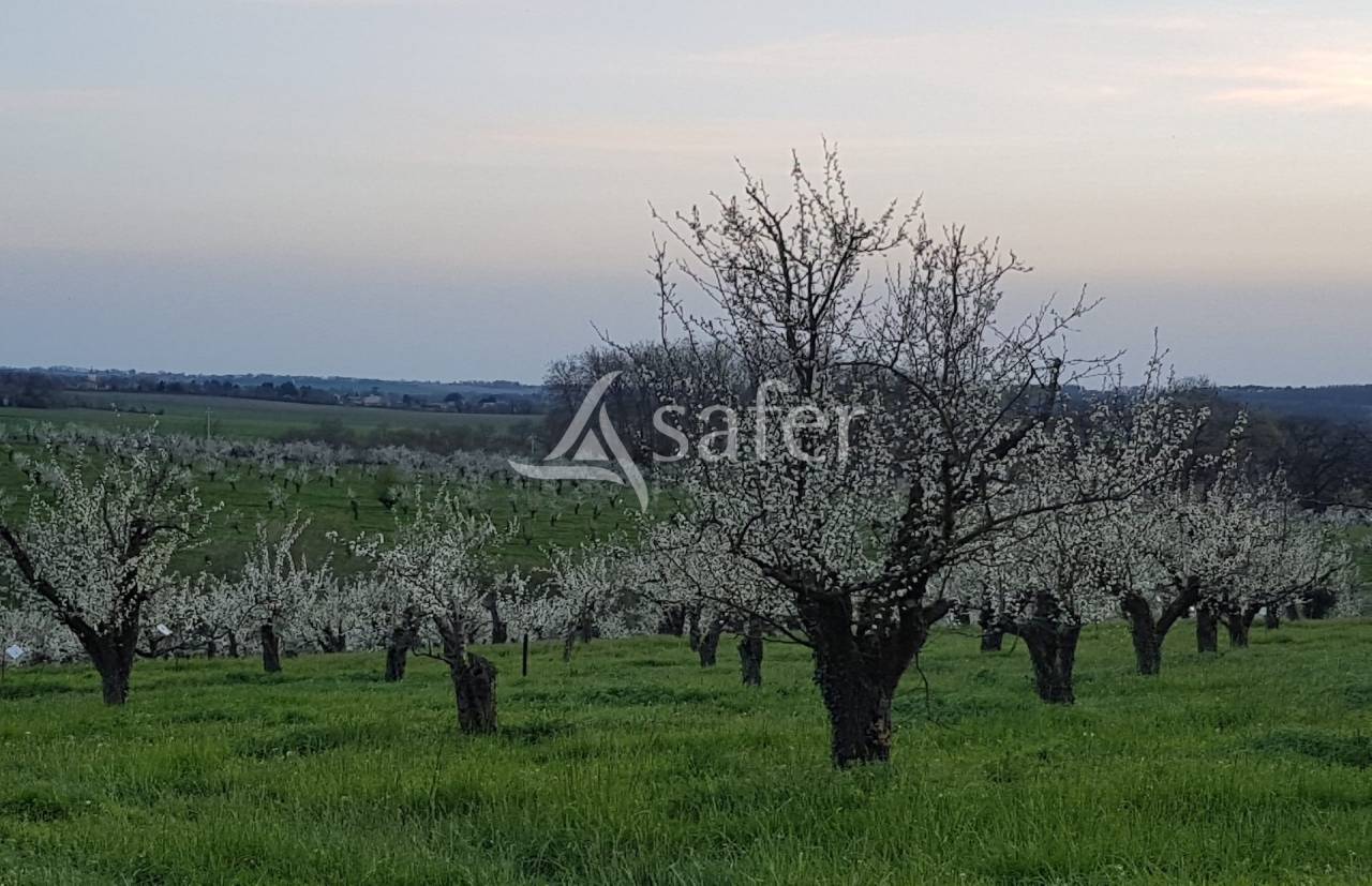 Explotaci&oacute;n agr&iacute;cola En venta Lot y Garona