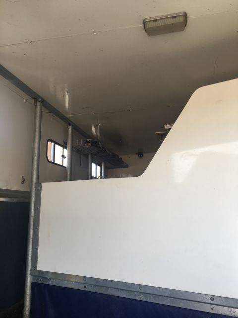 Cami&oacute;n para caballos Renault Renault&nbsp;M 230 TI - 17CV 1996 De segunda mano
