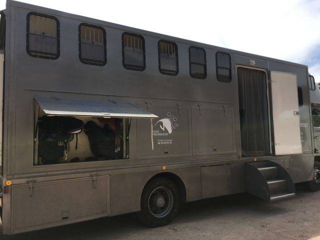 Cami&oacute;n para caballos Renault Renault&nbsp;M 230 TI - 17CV 1996 De segunda mano