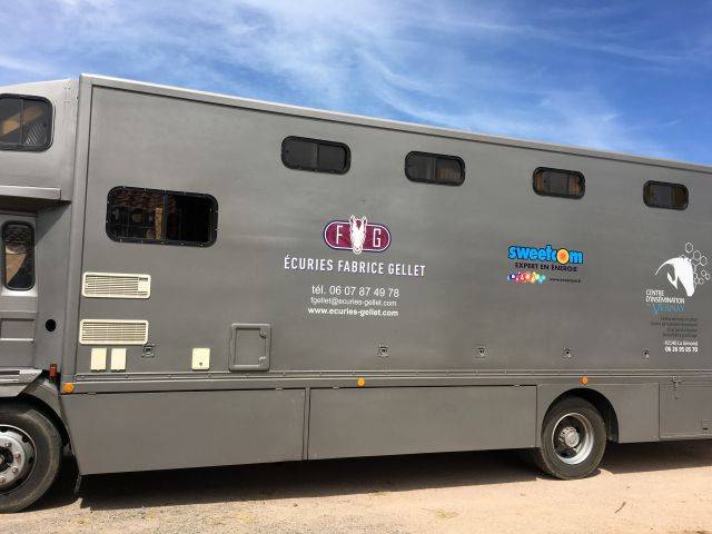 Cami&oacute;n para caballos Renault Renault&nbsp;M 230 TI - 17CV 1996 De segunda mano