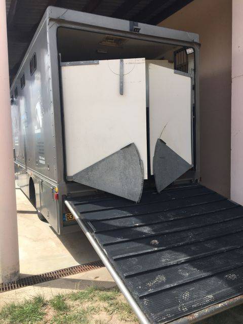 Cami&oacute;n para caballos Renault Renault&nbsp;M 230 TI - 17CV 1996 De segunda mano