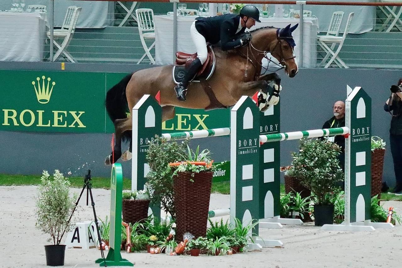 Caballo castrado Silla Franc&eacute;s En venta 2022 Bayo por CHACGRANO