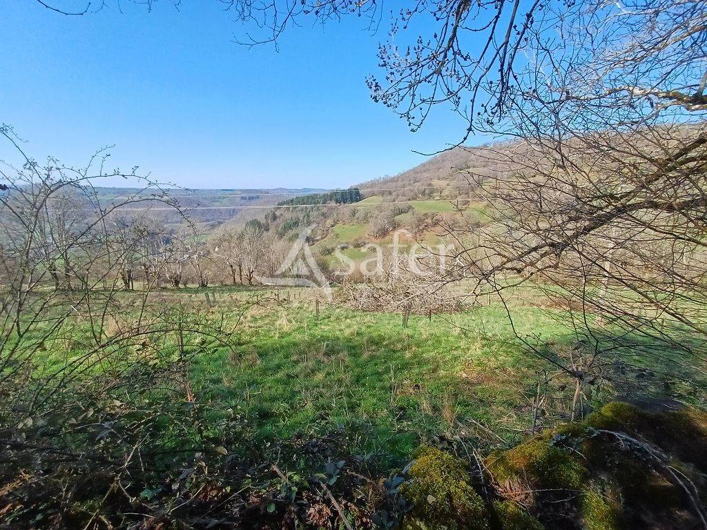 Explotaci&oacute;n agr&iacute;cola En venta Corr&egrave;ze