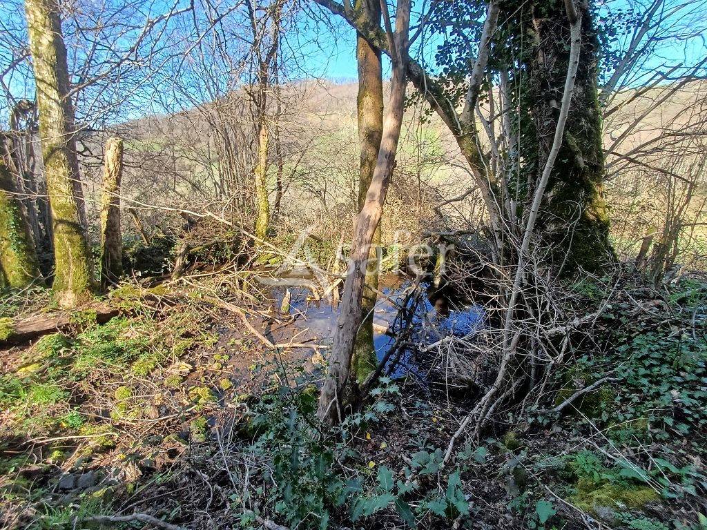 Explotaci&oacute;n agr&iacute;cola En venta Corr&egrave;ze