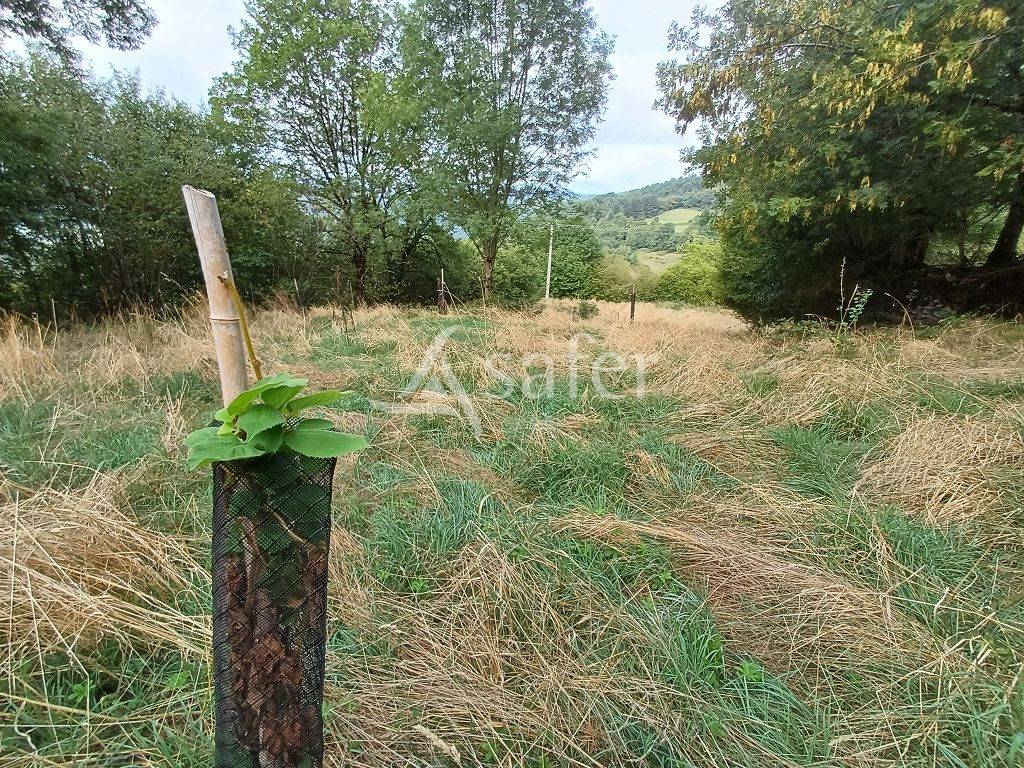 Explotaci&oacute;n agr&iacute;cola En venta Corr&egrave;ze