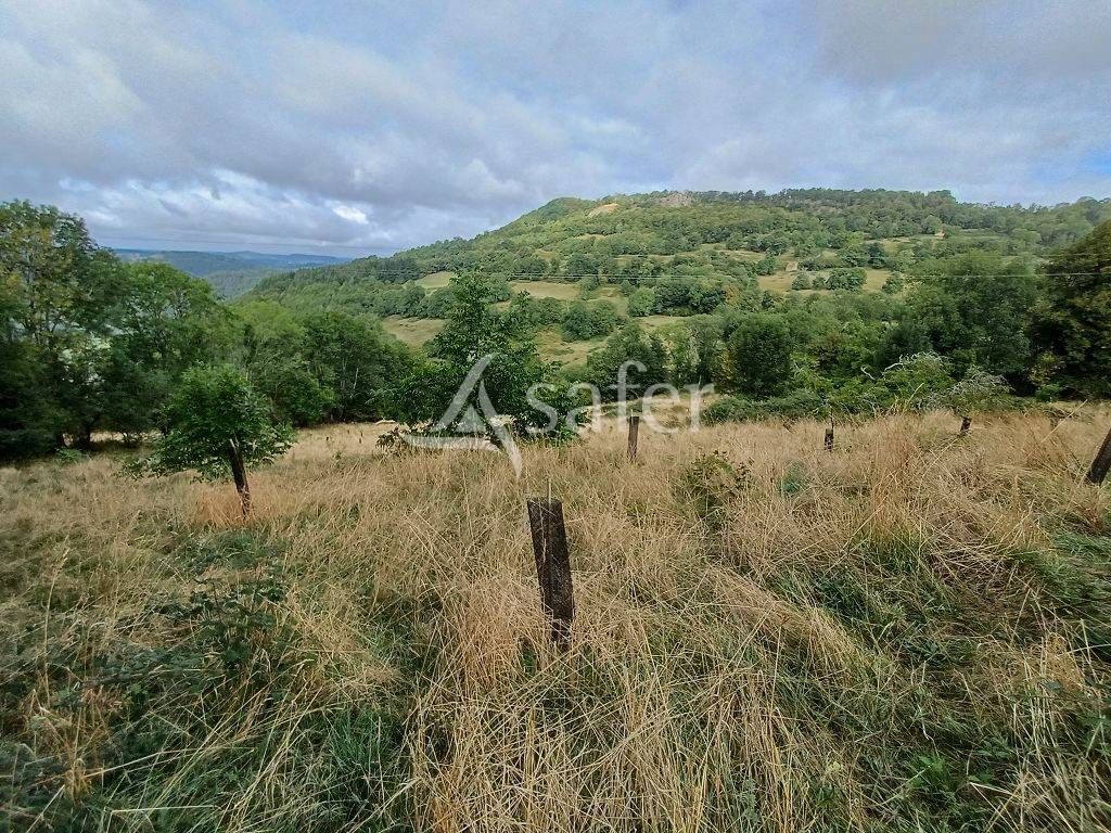 Explotaci&oacute;n agr&iacute;cola En venta Corr&egrave;ze