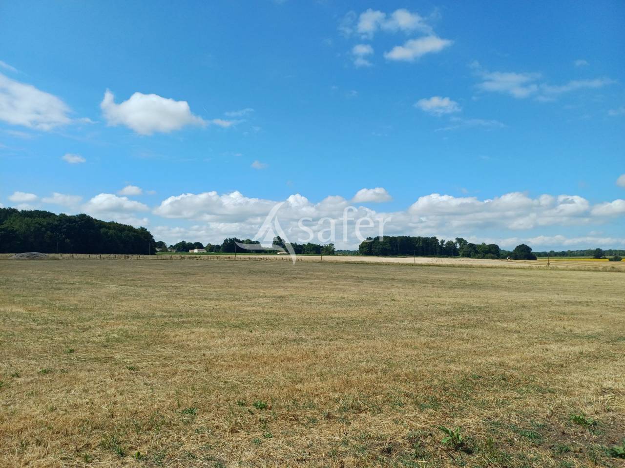 Explotaci&oacute;n agr&iacute;cola En venta Charente Mar&iacute;timo