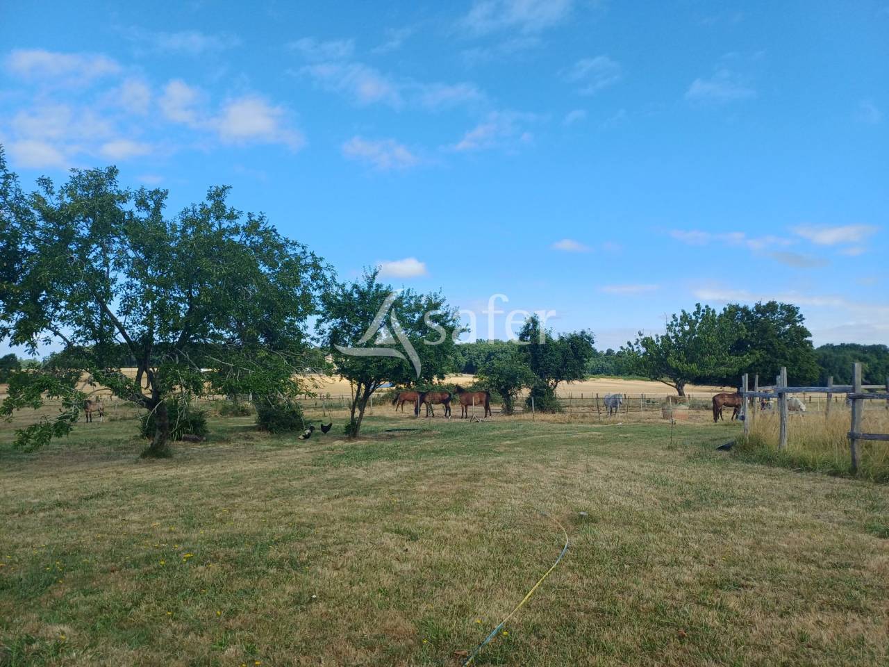 Explotaci&oacute;n agr&iacute;cola En venta Charente Mar&iacute;timo