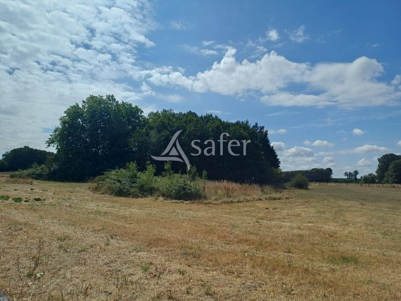Explotaci&oacute;n agr&iacute;cola En venta Charente Mar&iacute;timo