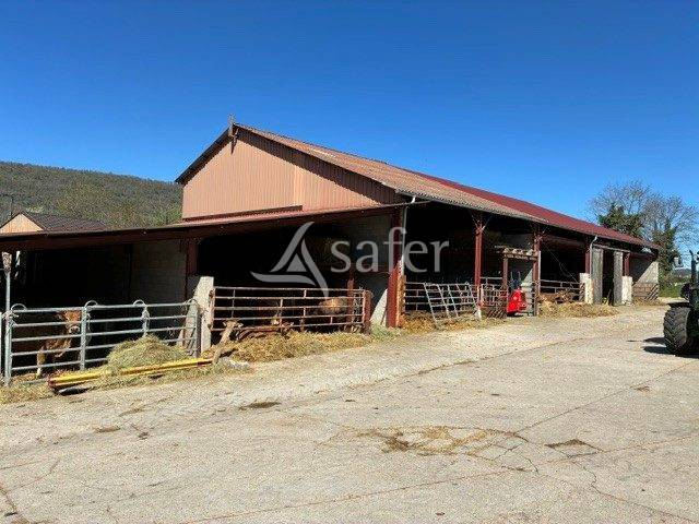 Explotaci&oacute;n ovina En venta Jura