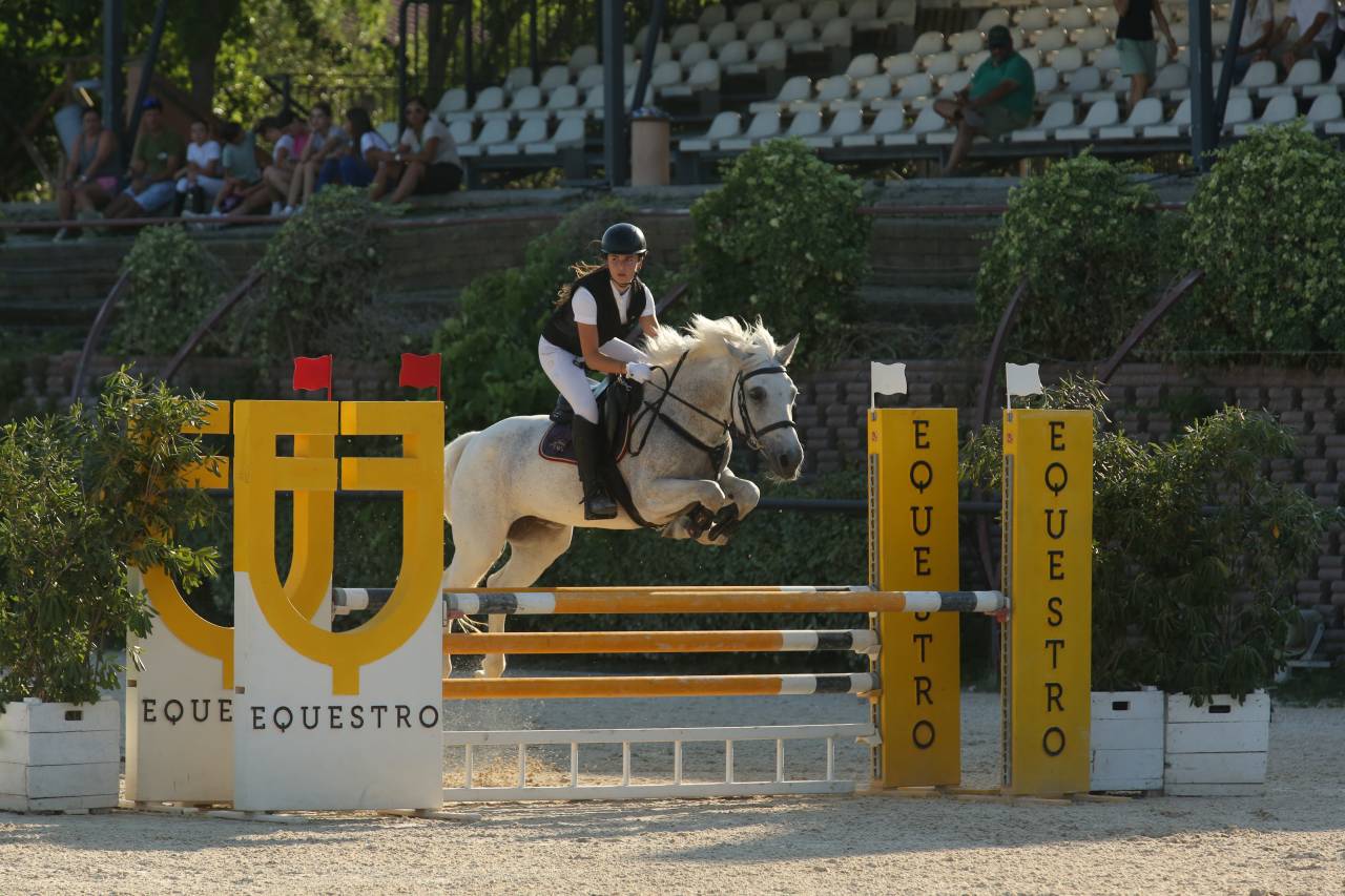 Yegua Welsh Poni (Secci&oacute;n D), Welsh Cob  En venta 2009 Tordo