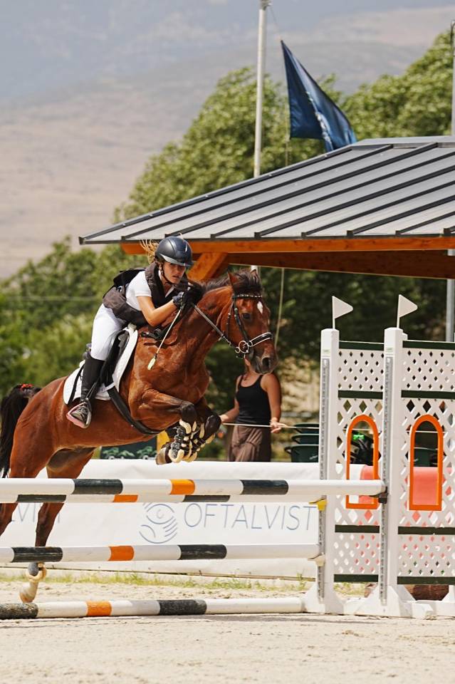 Pony D de salto espectacular.