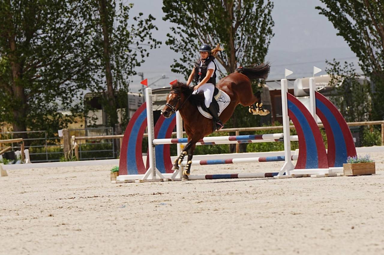 Pony D de salto espectacular.