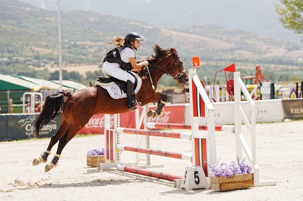 Pony D de salto espectacular.