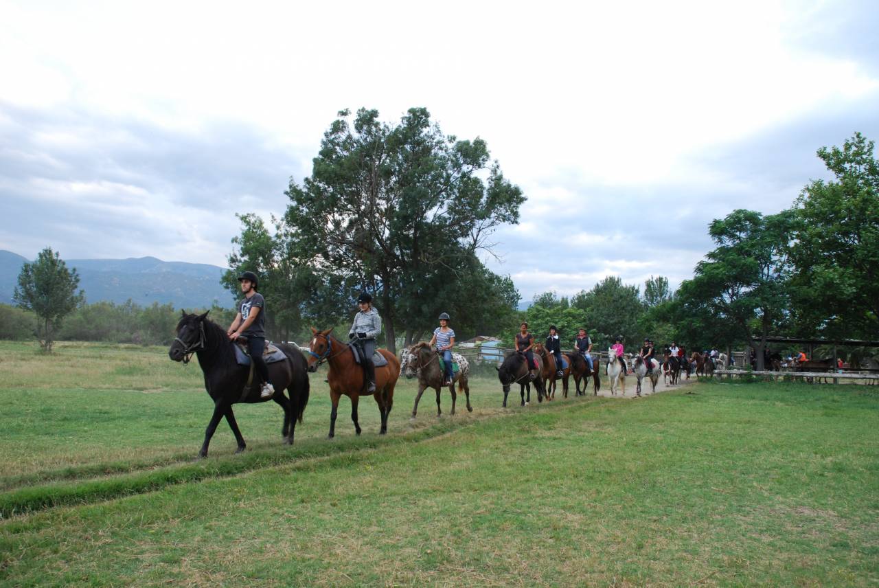 Centro ecuestre En venta Pirineos Orientales