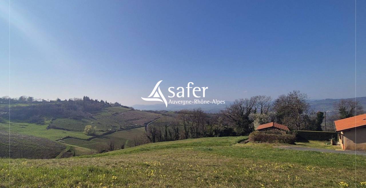 Propiedad rural En venta R&oacute;dano