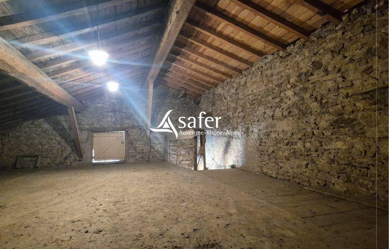 Propiedad rural En venta R&oacute;dano