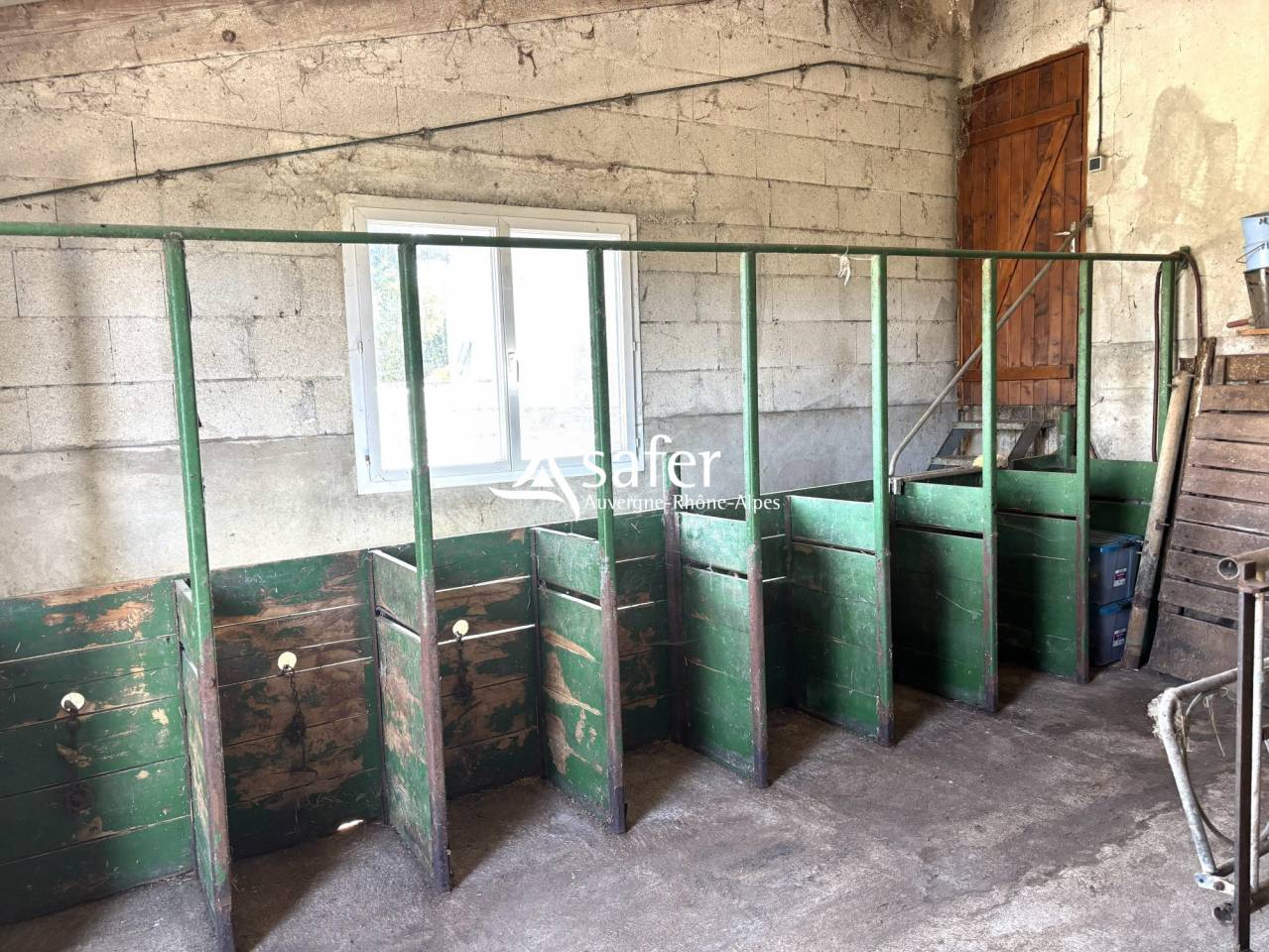 Explotaci&oacute;n ovina En venta R&oacute;dano