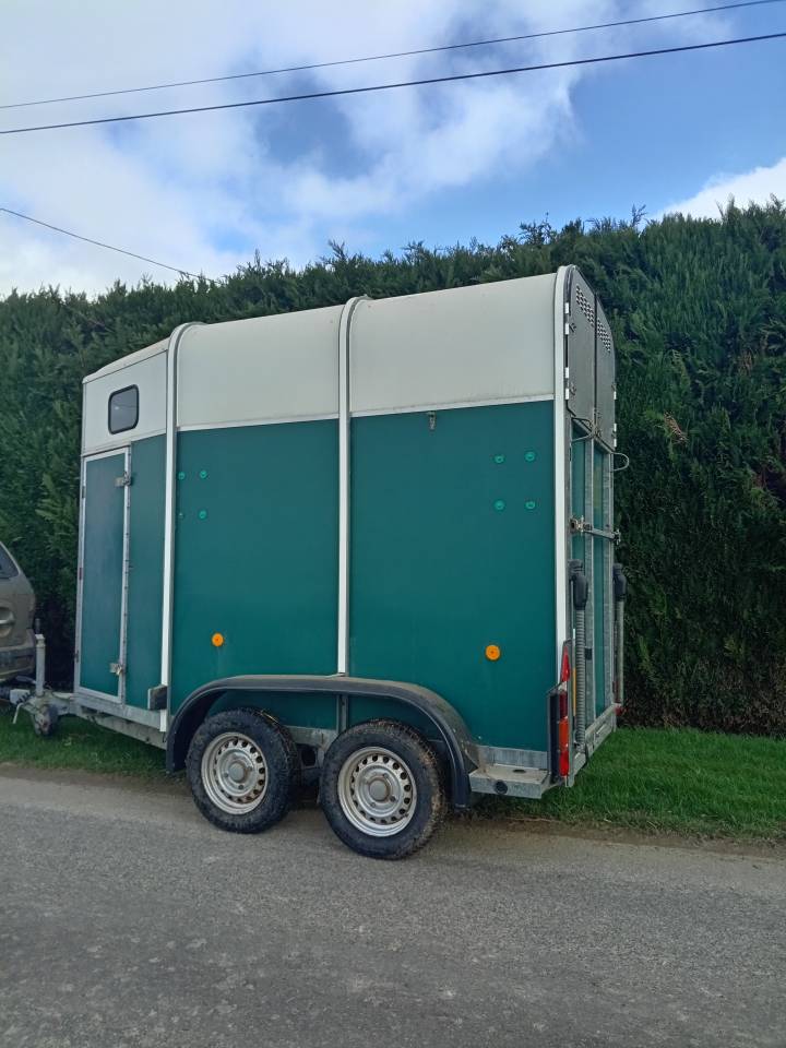 Van caballos Ifor Williams HB401R 1,5 Caballos 2003 De segunda mano
